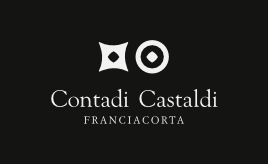 logo Contadi Castaldi