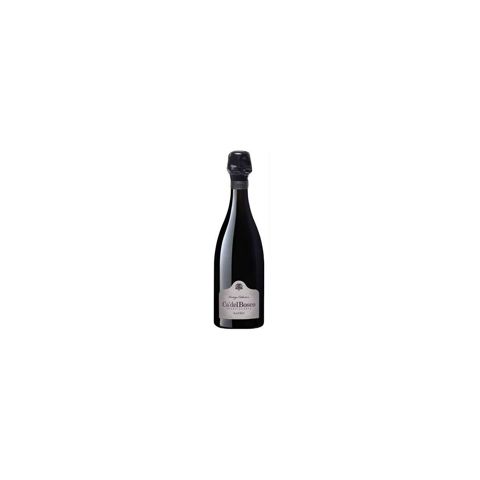 Immagine vino Ca' del Bosco, Franciacorta DOCG {Vintage Collection} brut satèn 2018