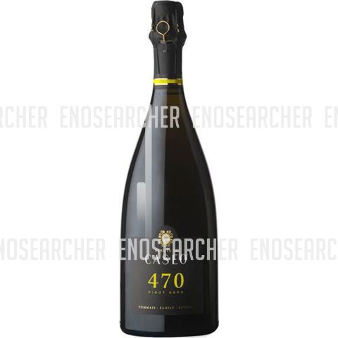 Immagine vino Tenuta Di Caseo By Tommasi Family Estate, Vino Spumante di Qualità VSQ Metodo Classico Pinot Nero {470} brut 2019 magnum