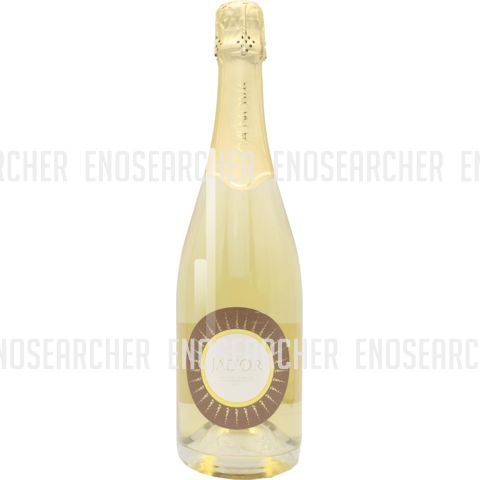 Immagine vino Ca' Nova, Vino Spumante di Qualità VSQ Metodo Classico {Jad'or} brut