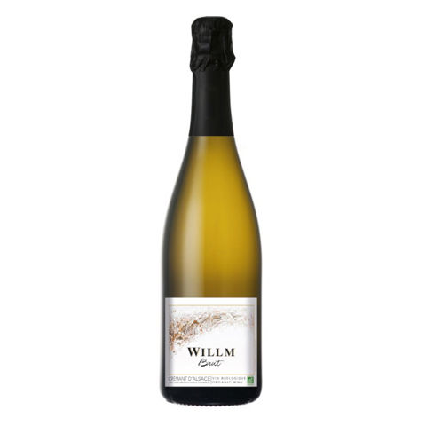 Immagine vino Alsace Willm, Crèmant d'Alsace AOC Cremant d'Alsace Bio Willm brut