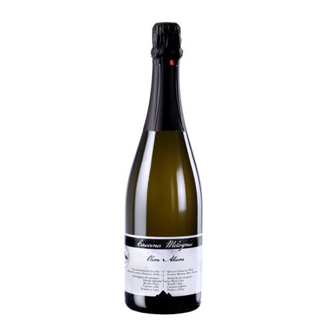 Immagine vino Cascina Melognis, Vino Spumante di Qualità VSQ Metodo Classico {Olim Atrum}