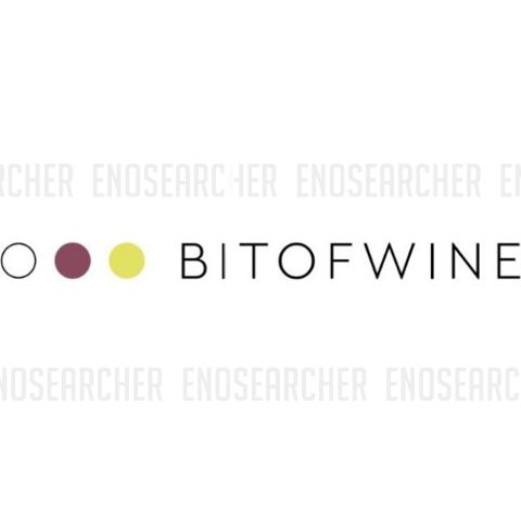 Immagine vino Majolini, Franciacorta DOCG dosaggio zero 2021