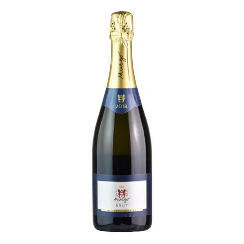 Immagine vino Murgo, Vino Spumante di Qualità VSQ {Brut} 2020